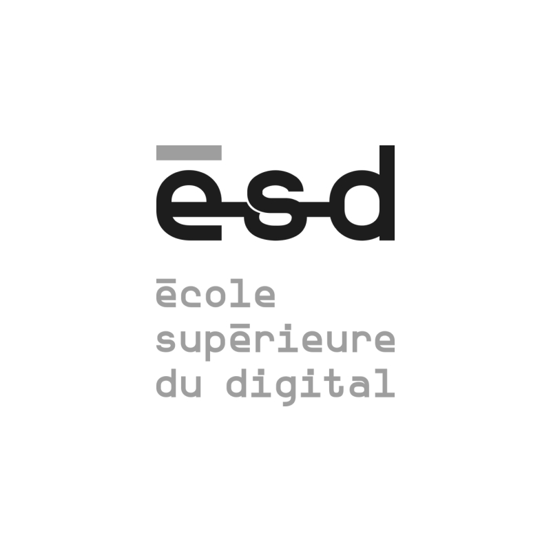 Ecole Superieure Digital