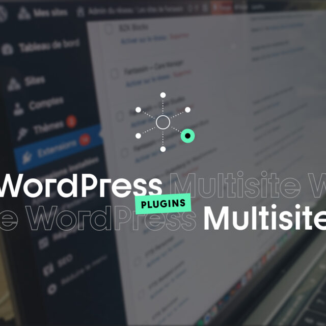 Multisite et gestion des extensions/plugins