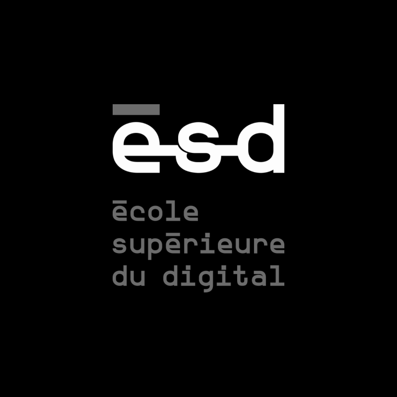 Ecole Superieure Digital